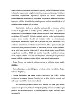 Referāts 'Cīņa ar terorismu', 5.