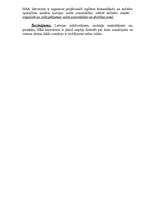 Referāts 'Kā plānot NBS attīstību?', 6.