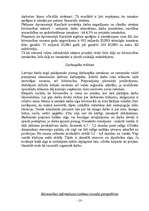 Referāts 'Būvniecība', 10.