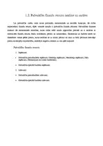 Referāts 'Ventspils pašvaldības budžets', 6.