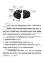 Referāts 'Ventspils pašvaldības budžets', 11.