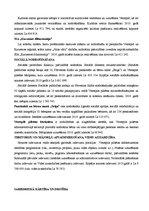 Referāts 'Ventspils pašvaldības budžets', 16.