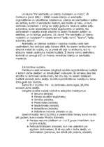 Referāts 'Nodokļi kā valsts budžeta ienākumu avots', 10.