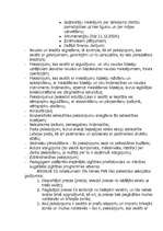 Referāts 'Nodokļi kā valsts budžeta ienākumu avots', 27.