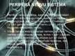 Prezentācija 'Nervu sistēma', 9.
