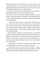 Referāts 'Agresivitātes novēršanas iespējas pirmsskolas vecumā', 33.