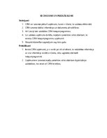 Referāts 'CRM (Customer Relation Management – Klientu attiecību vadība) pielietojums un ne', 11.