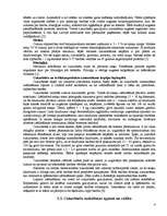 Referāts 'Cukurbiešu audzēšana', 4.