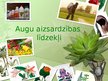 Prezentācija 'Augu aizsardzības līdzekļi', 1.