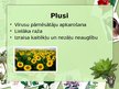 Prezentācija 'Augu aizsardzības līdzekļi', 8.