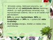 Prezentācija 'Augu aizsardzības līdzekļi', 10.