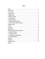 Referāts 'Reklāmas satura novērtējums SIA "X"', 2.