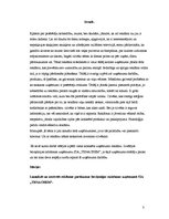 Referāts 'Reklāmas satura novērtējums SIA "X"', 3.