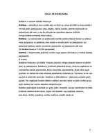 Referāts 'Reklāmas satura novērtējums SIA "X"', 6.