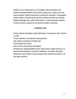 Referāts 'Reklāmas satura novērtējums SIA "X"', 11.