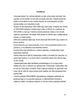 Referāts 'Reklāmas satura novērtējums SIA "X"', 26.