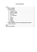 Referāts 'Ētiskās vērtības', 2.