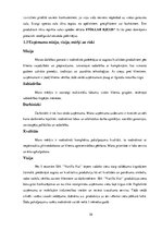 Biznesa plāns 'Biznesa plāns saldējuma tirdzniecības izveidei Jūrmalā', 10.