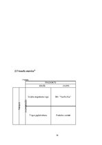 Biznesa plāns 'Biznesa plāns saldējuma tirdzniecības izveidei Jūrmalā', 16.