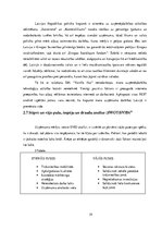 Biznesa plāns 'Biznesa plāns saldējuma tirdzniecības izveidei Jūrmalā', 19.