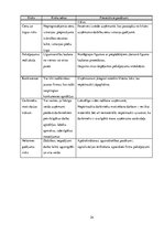 Biznesa plāns 'Biznesa plāns saldējuma tirdzniecības izveidei Jūrmalā', 24.