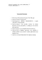 Biznesa plāns 'Biznesa plāns saldējuma tirdzniecības izveidei Jūrmalā', 39.