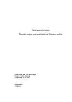 Konspekts 'Dienas uztura režīms', 4.