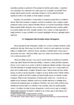 Referāts 'Investīcijas akciju vērtspapīros, to riski un ienesīgums', 15.