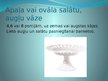 Prezentācija 'Stikla un kristāla trauki', 27.