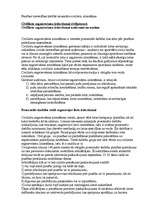 Konspekts 'Prasības tiesvedības kārtībā ierosināto civillietu iztiesāšana', 1.