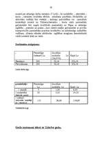 Biznesa plāns 'Estētikas centrs "Viva"', 13.