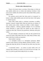 Konspekts 'Paražu tiesības kā sākotnējā forma', 3.