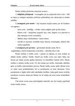 Konspekts 'Paražu tiesības kā sākotnējā forma', 4.