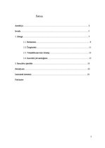 Referāts 'Jauniešu slenga ietekme uz literāro valodu mūsdienās', 2.