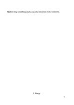 Referāts 'Jauniešu slenga ietekme uz literāro valodu mūsdienās', 6.