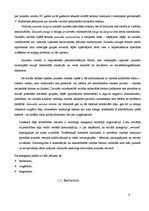 Referāts 'Jauniešu slenga ietekme uz literāro valodu mūsdienās', 8.