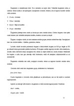 Referāts 'Jauniešu slenga ietekme uz literāro valodu mūsdienās', 11.