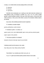 Referāts 'Jauniešu slenga ietekme uz literāro valodu mūsdienās', 16.