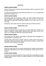 Referāts 'Jauniešu slenga ietekme uz literāro valodu mūsdienās', 19.