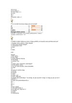 Referāts 'Jauniešu slenga ietekme uz literāro valodu mūsdienās', 26.