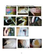 Referāts 'Tekstilmateriālu krāsošana ar augu krāsvielām', 13.