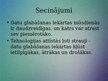 Prezentācija 'Datu glabāšanas iekārtas, to veidi un pielietojums', 15.
