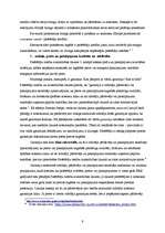 Referāts 'Patērētāja tiesību aizsardzība un uzraudzība Latvijā', 13.