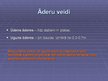 Prezentācija 'Āderes', 10.