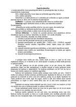 Konspekts 'Uzņēmējdarbības veidi', 7.