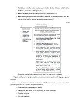 Referāts 'Patērētāju tiesības', 10.