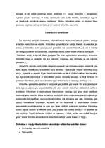 Referāts 'Bibliotēku loma informācijas sabiedrībā', 8.