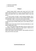 Referāts 'Bibliotēku loma informācijas sabiedrībā', 9.