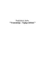 Referāts 'Sajūga defekti', 1.