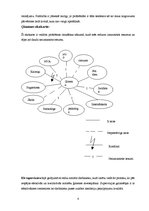 Paraugs 'Sociālās palīdzības organizatora profesionālā darbība', 4.